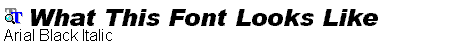 Arial Black Italic.ttf