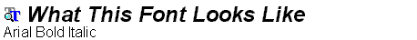 Arial Bold Italic.ttf