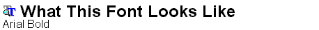 Arial Bold.ttf