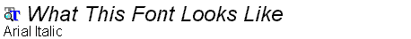 Arial Italic.ttf