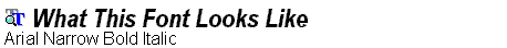 Arial Narrow Bold Italic.ttf