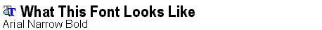Arial Narrow Bold.ttf